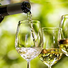 Vinhos Brancos Brasileiros