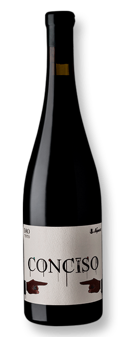 NIEPOORT DAO CONCISO