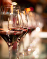 Vinhos Tintos Importados