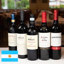 Vinho Tinto Argentino