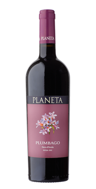 PLUMBAGO DOC SICÍLIA