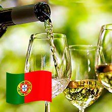 Vinhos Brancos Portugal