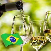 Vinhos Brancos Brasil