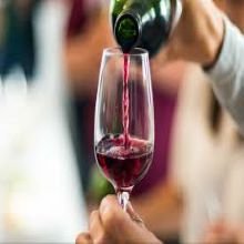 Vinhos Tintos