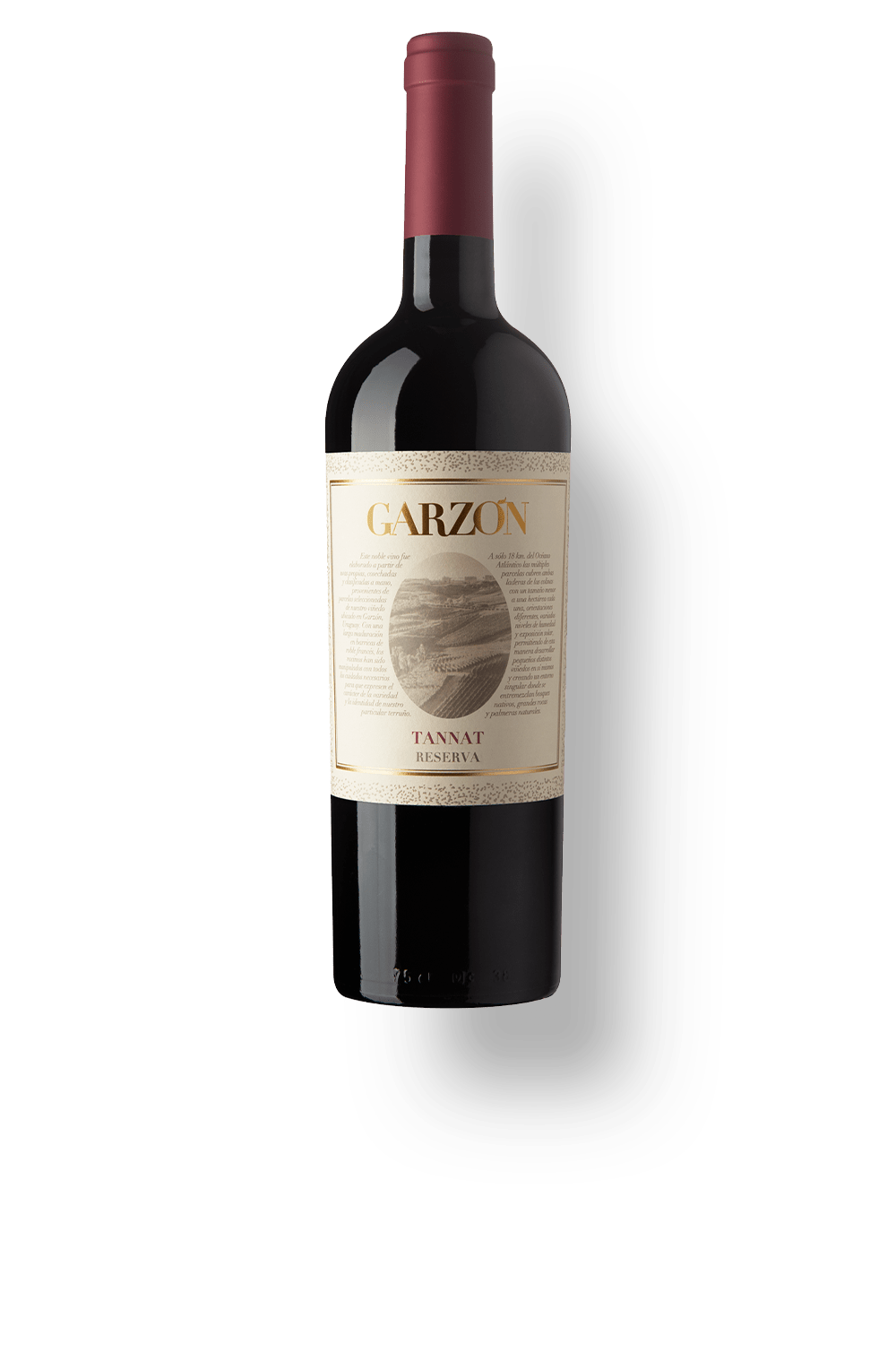 Garzón Reserva Tannat
