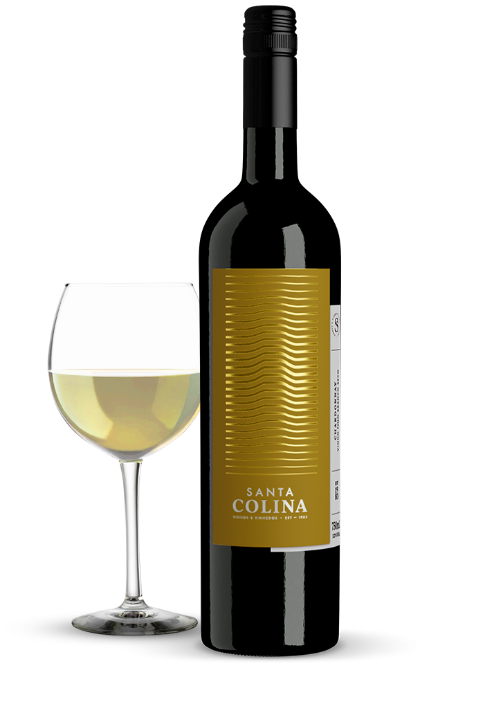 Santa Colina Chardonnay