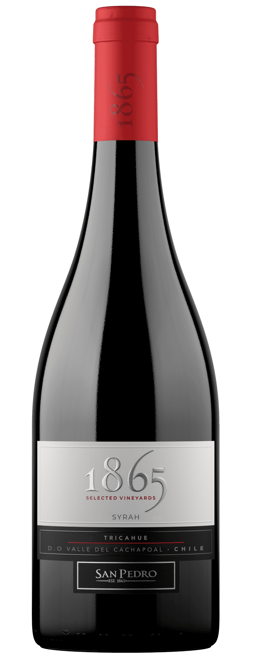 SAN PEDRO 1865 SELECTED VINEYARD  SYRAH 