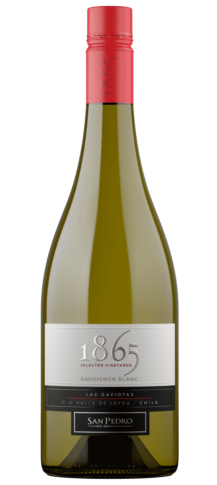 SAN PEDRO 1865 SELECTED VINEYARD SAUVIGNON BLANC