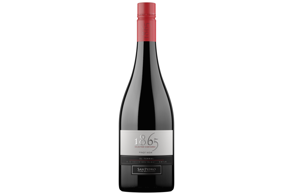 SAN PEDRO 1865 SELECTED VINEYARD  PINOT NOIR