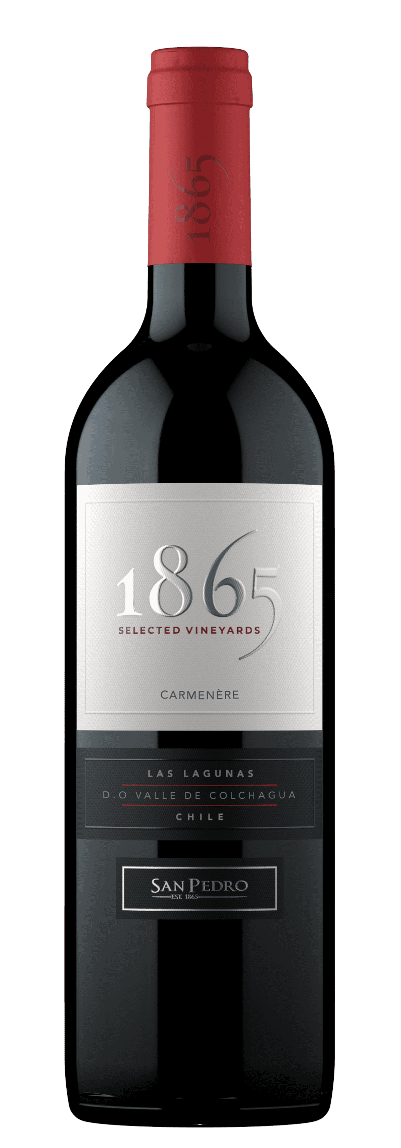 SAN PEDRO 1865 SELECTED VINEYARD  CARMENÈRE