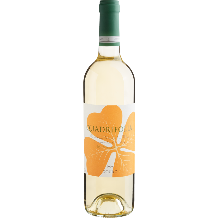 Quadrifolia DOC