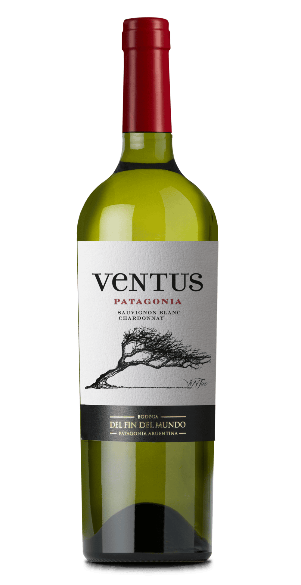 VENTUS BLEND BRANCO