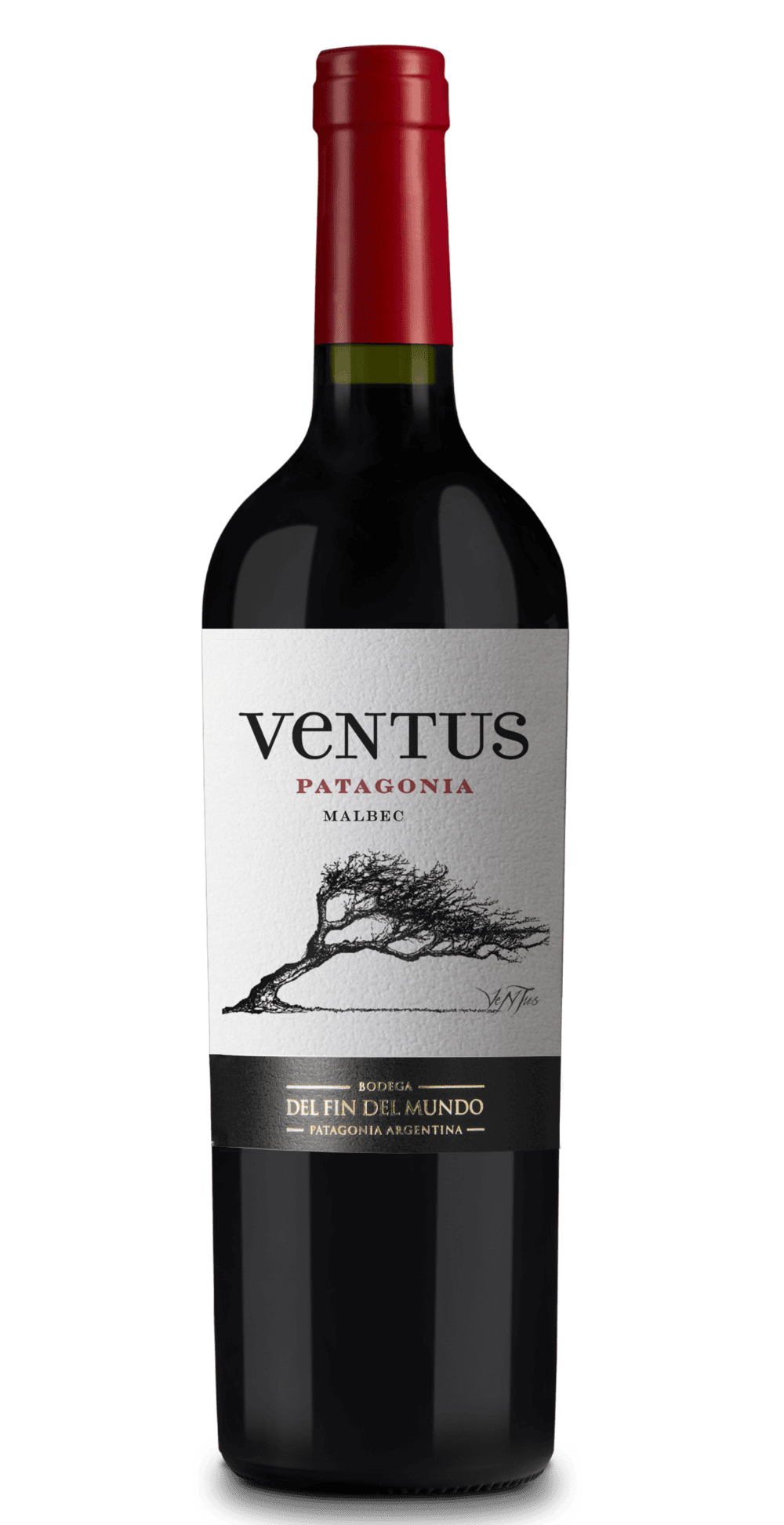 VENTUS MALBEC