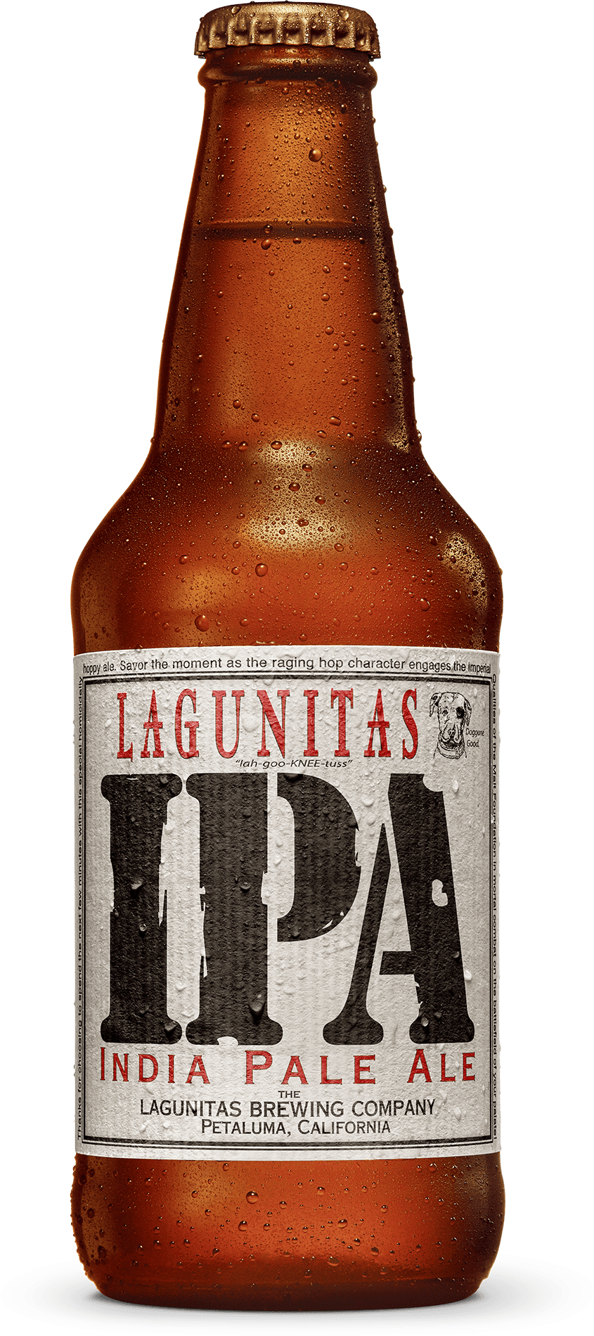 Lagunitas ipa