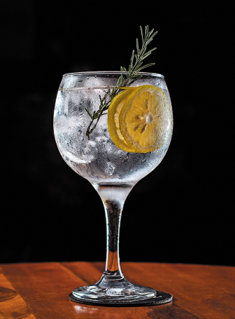 GIN TÔNICA